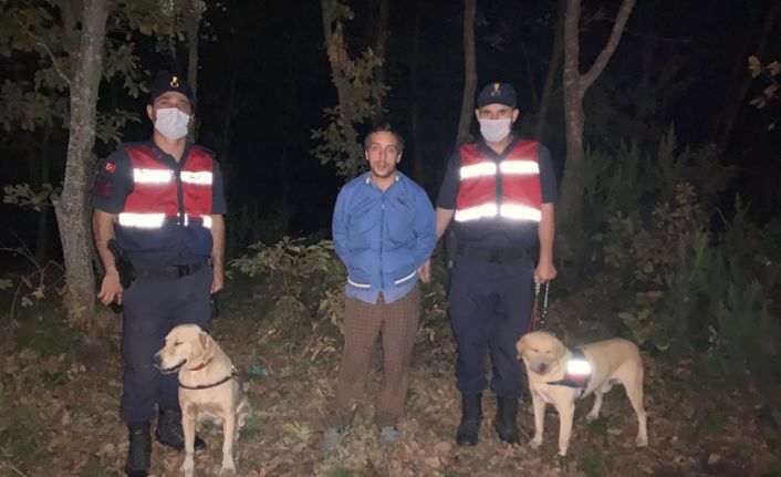 Ormanda kaybolan zihinsel engelli vatandaş ağaca sarılı şekilde uyurken bulundu