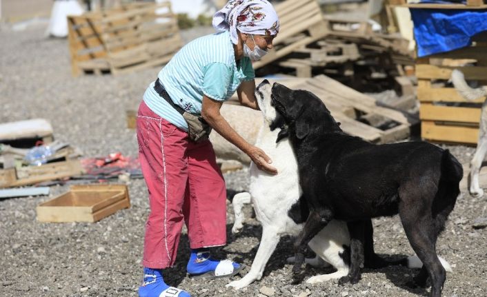 Özdilek’in mama desteği ile sevimli patiler doyuyor
