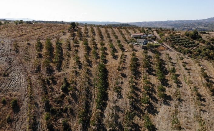 (Özel) “Kırsala göç” hevesi hem kendi hem de köylünün hayatını değiştirdi
