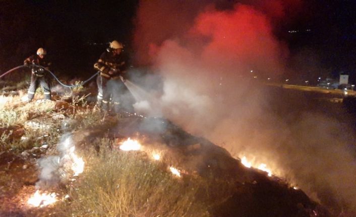 Polisin dikkati, itfaiyenin erken müdahalesi ormanlık alanı kül olmaktan kurtardı