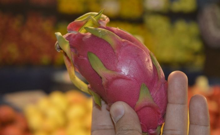 Şekli ve fiyatı ile herkesi şaşırtan ejder meyvesi bu yıl da tezgâhta