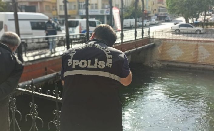 Sudaki "geçersiz" parayı almak isterken canından oluyordu