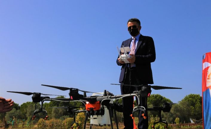 Tarım ve Orman Bakanı Bekir Pakdemirli drone ile tarla ilaçladı