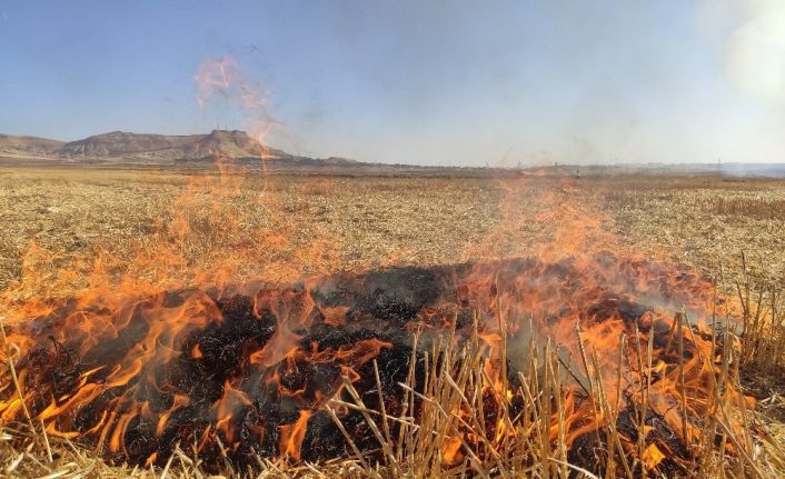 Tarladaki anızı yaktı, komşu tarladaki 150 boru kullanılamaz hale geldi