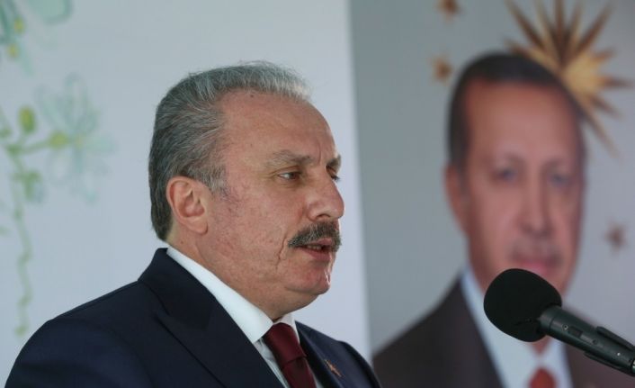 TBMM Başkanı Şentop: “Tabiata zarar vererek kirli emellerine ulaşacaklarını zanneden gafiller şunu iyi bilsinler: Türkiye Cumhuriyeti Devleti büyük ve güçlü bir devlettir”