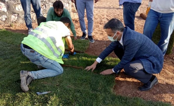 Yeşilyurt Belediyesi tarımsal üretim ve ar-ge sahasında 15 bin metrekare rulo çim üretildi