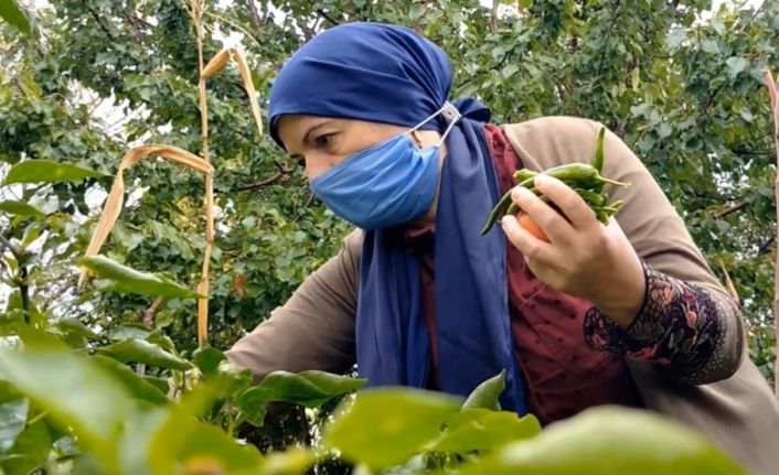 4 kanser hastasının olduğu aileden 2 kişi öldü, anne ve oğlunun yaşam savaşı sürüyor