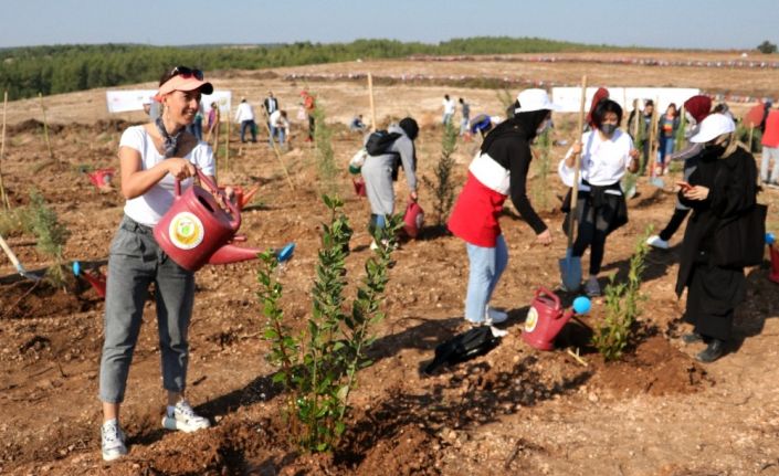 Adana’da 50 bin fidan toprakla buluştu