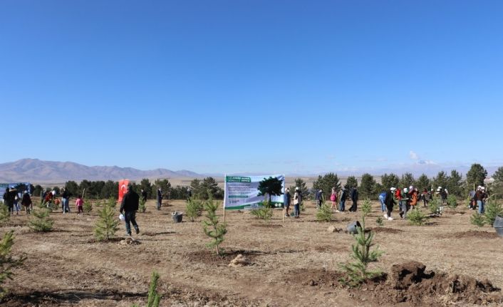Ağrı’da binlerce fidan toprakla buluştu