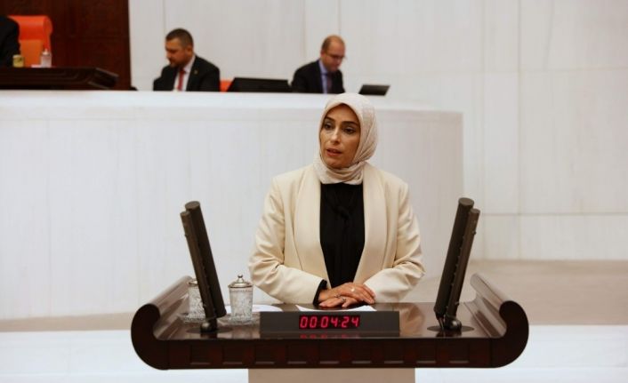 AK Parti Milletvekili Ban, NATO PA ekonomi ve güvenlik komisyonu Başkan Yardımcılığı görevine seçildi