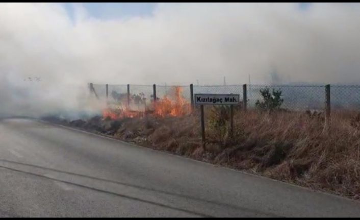 Antalya’da aynı gün içerisinde çıkan 3 ayrı yangında 10 dönümün üzerinde alan yandı