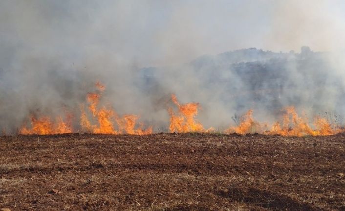 Antalya’da makilik alanda yangın