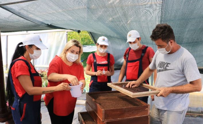 AtaTohum’da ikinci üretim sezonu başladı