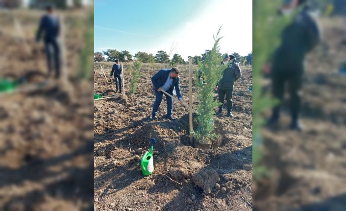 Ayvacık’ta yüzlerce fidan toprakla buluştu