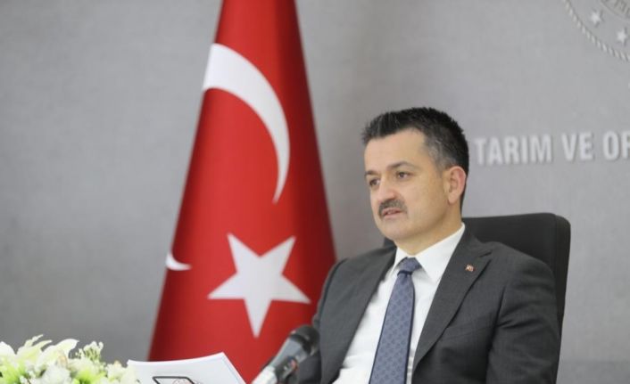 Bakan Pakdemirli: “2021 yılı su ve sulama yatırımlarında hamle yılı olacak”