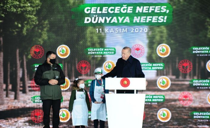 Bakan Pakdemirli: "Orman varlığımızı 20,8 milyon hektardan 22,7 milyon hektar alana ulaştırdık"