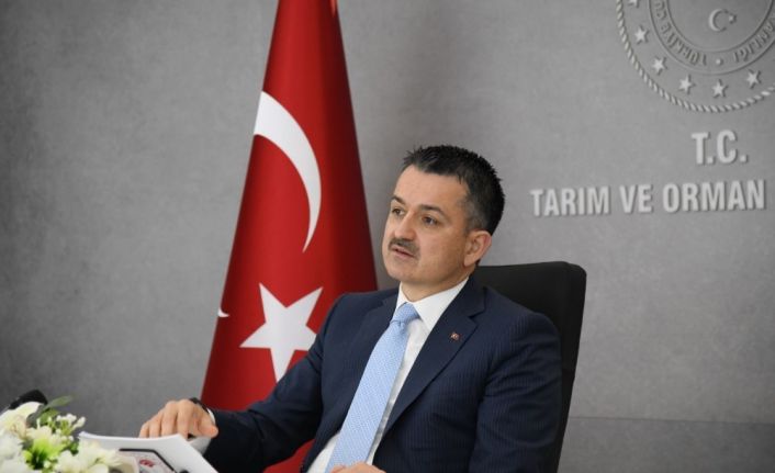 Bakan Pakdemirli: “Ormancılıkta daha çok yatırımı Ege illerine sağlamaya devam edeceğiz"
