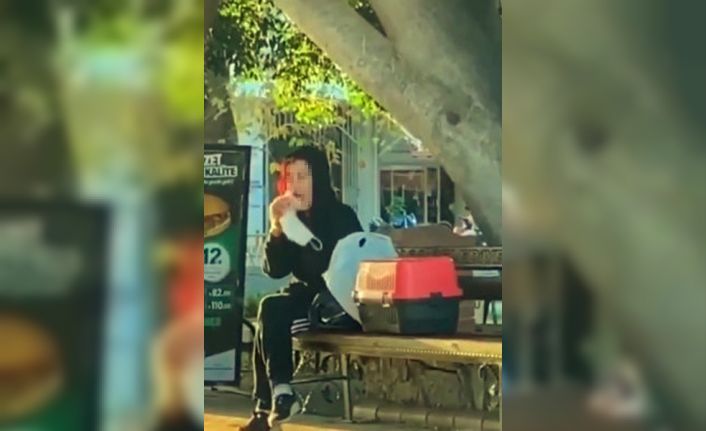 Beslediği hamsterı önce tokatladı, sonra ısırmaya çalıştı