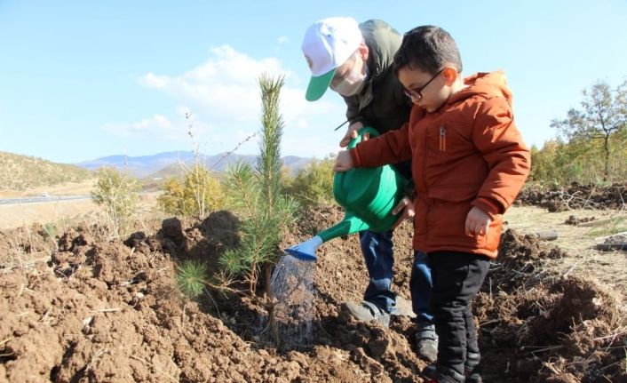 Bingöl’de 4 hektar alana 6 bin 500 fidan dikildi