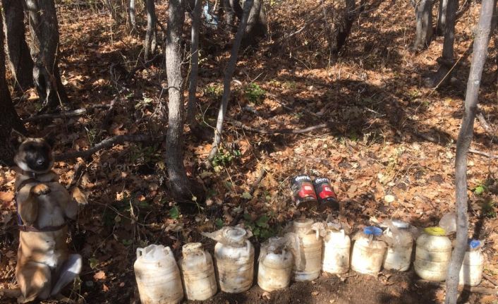 Bitlis’te EYP ve gıda malzemesi ele geçirildi