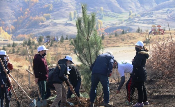 Bitlis’te fidan dikimi