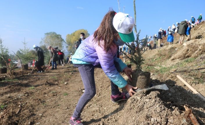 Bolu’da 9 bin fidan toprakla buluşturuldu