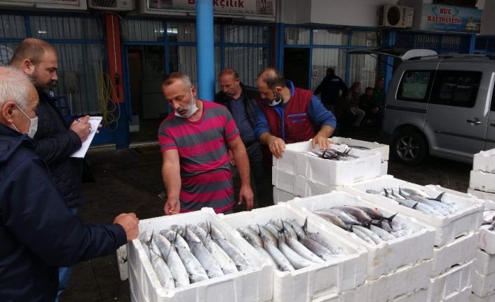 Büyük tekneler hamsi için Hopa açıklarına gidince palamut kıyı balıkçılarına kaldı