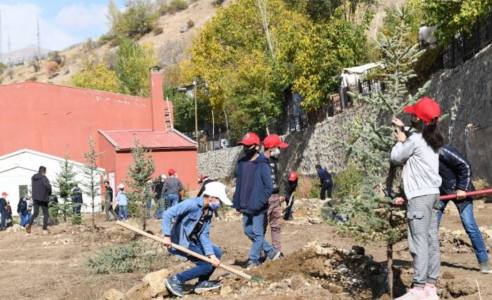 Çatak’ta fidan dikim