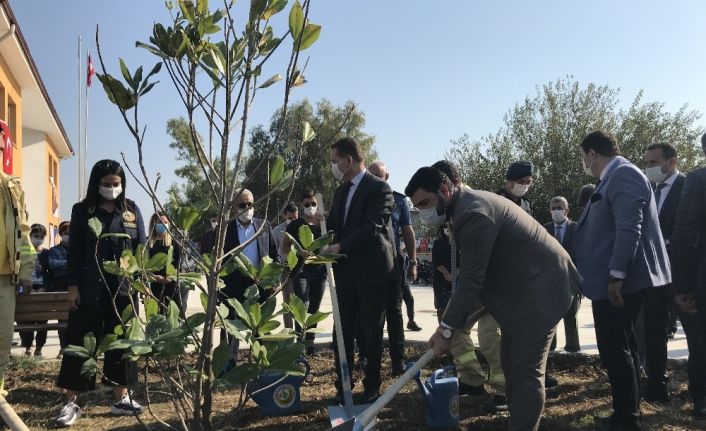 Ceyhan’da 3 bin fidan dikildi