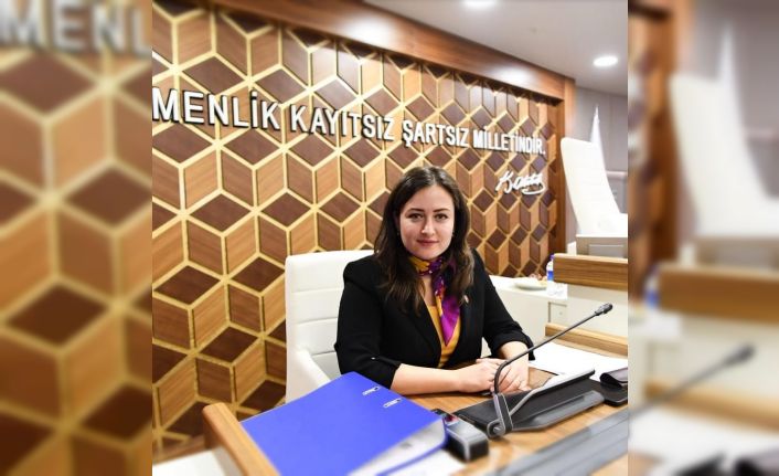 CHP Meclis üyesi Özdemir’den yeni açıklama