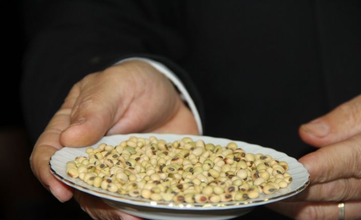 Çorum’da soya fasulyesi üretiminin teşvik edilmesi ve destek verilmesi için çağrı