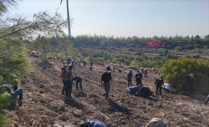 Datça’da 2 bin fidan toprakla buluştu