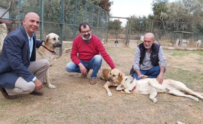 Datça’da can dostlara anlamlı bağış