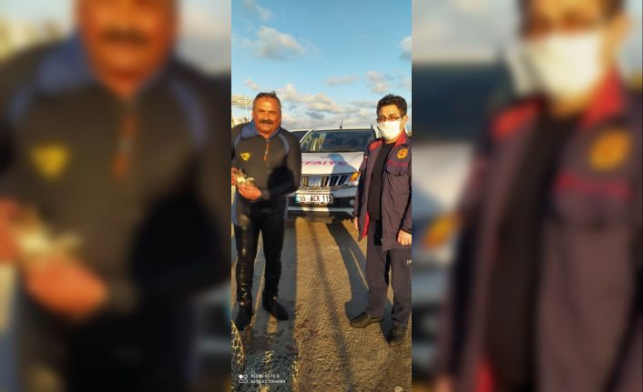 Denize düşen yavru kediyi itfaiye kurtardı