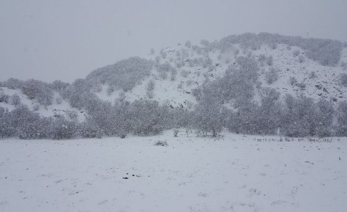 Doğu Anadolu’da kar yağışı