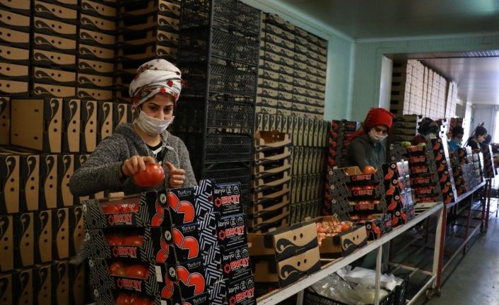 Domateste bir önceki aya göre yüzde 6.88, sebzede yüzde 22.28, meyvede yüzde 6.69 artış yaşandı