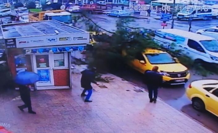 Durakta bekleyen ticari taksinin üzerine ağaç böyle devrildi
