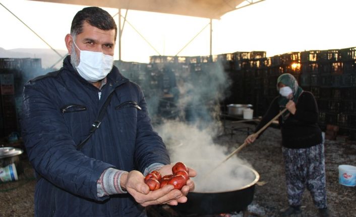 Düşten lansmana yolculuk: Rüyasında gördü, 13 bin fidan dikti, 600 ton üretti, şimdi de pekmezini yapıyor