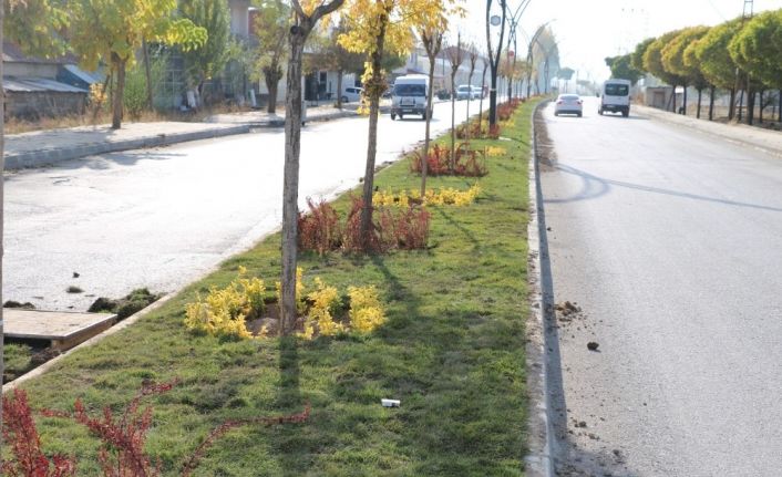 Erciş Belediyesinden çimlendirme çalışması
