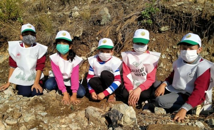 Erzin’de çam fidanları toprakla buluştu