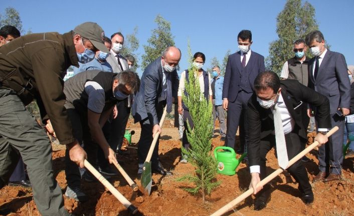 Fethiye’de “Geleceğe Nefes” olacak fidanlar toprakla buluştu
