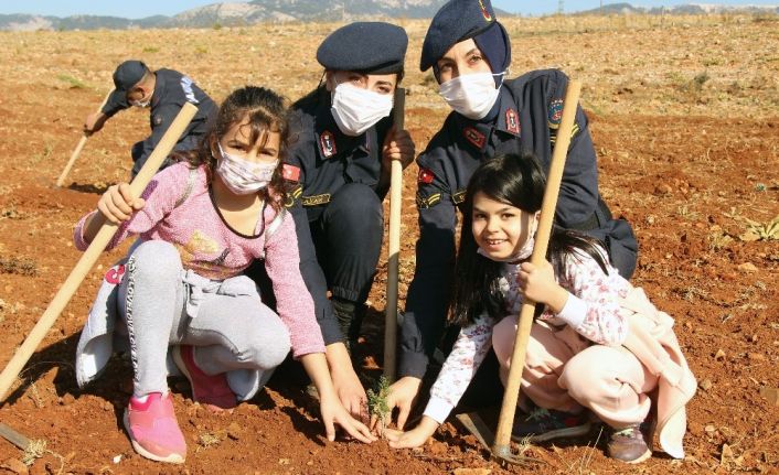 Fidanlar toprakla buluştu