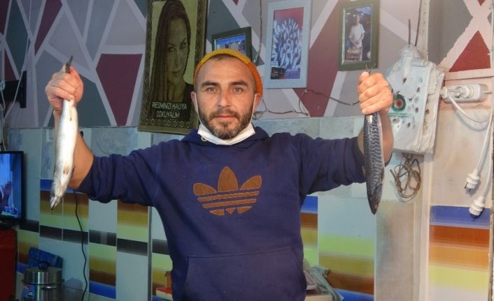 Geçen hafta 40 TL’den satılan hamsi bugün 25 TL’ye alıcı buluyor