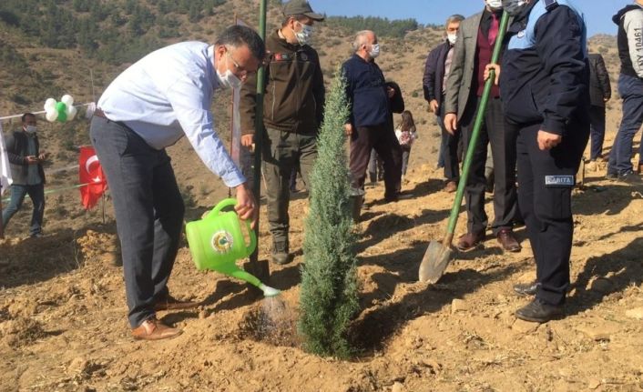 Gelecek için fidan diktiler