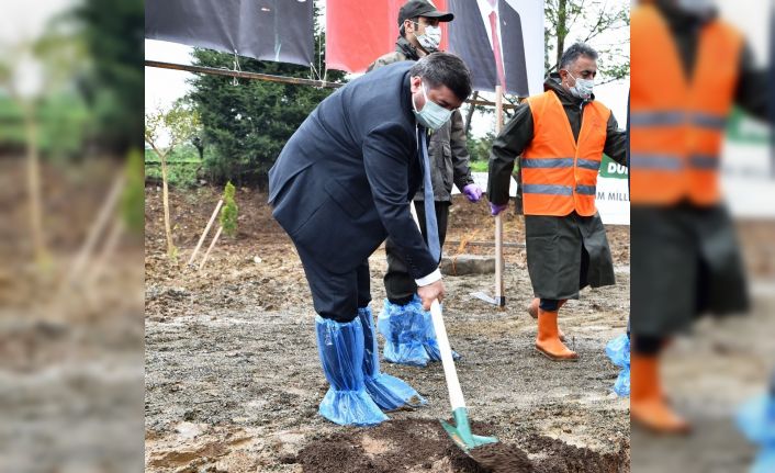 Giresun’da 31 bin 670 fidan toprakla buluştu