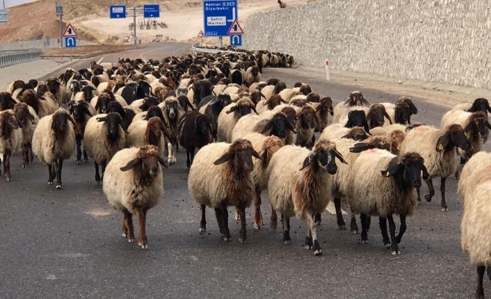 Göçerlerin zorlu dönüş yolculuğu başladı