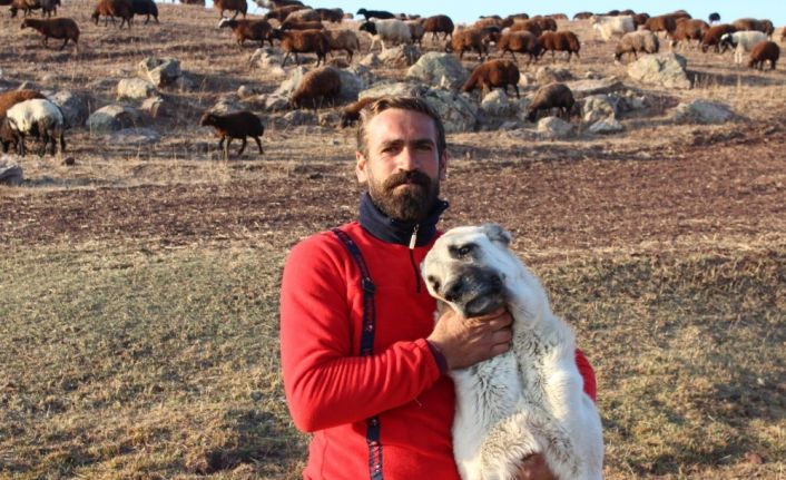 Göçerlerin zorlu dönüş yolculuğu devam ediyor