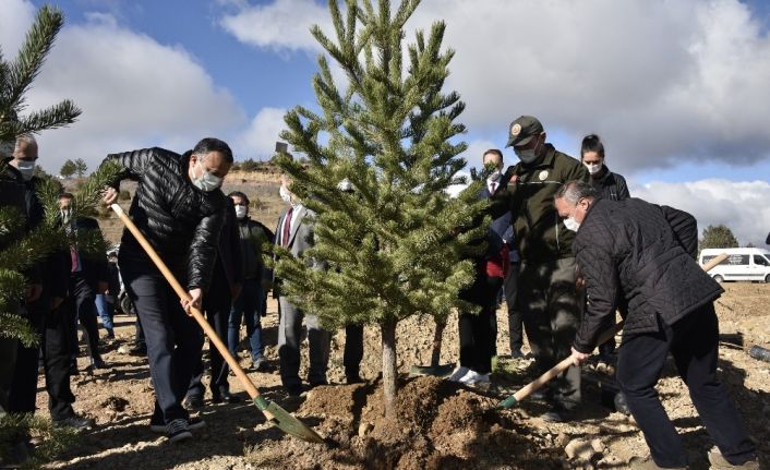 Gümüşhane’de 22 bin fidan toprakla buluştu