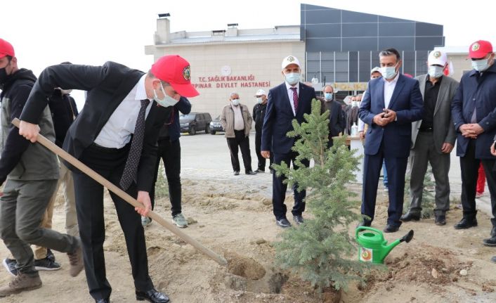 Gürpınar’da fidan dikimi