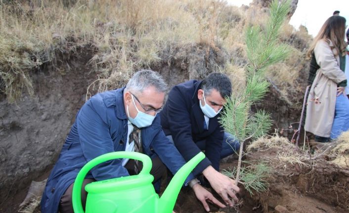 Hacılar’da bin 100 fidan toprakla buluştu